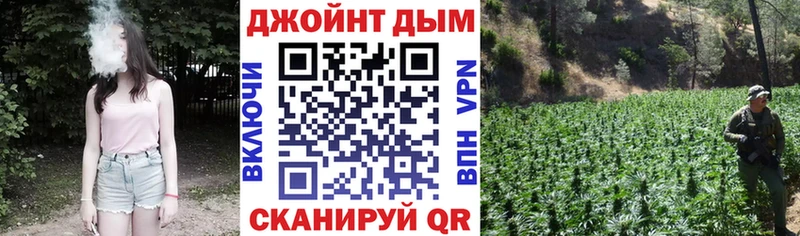 где продают наркотики  Нижняя Салда  Канабис планчик 